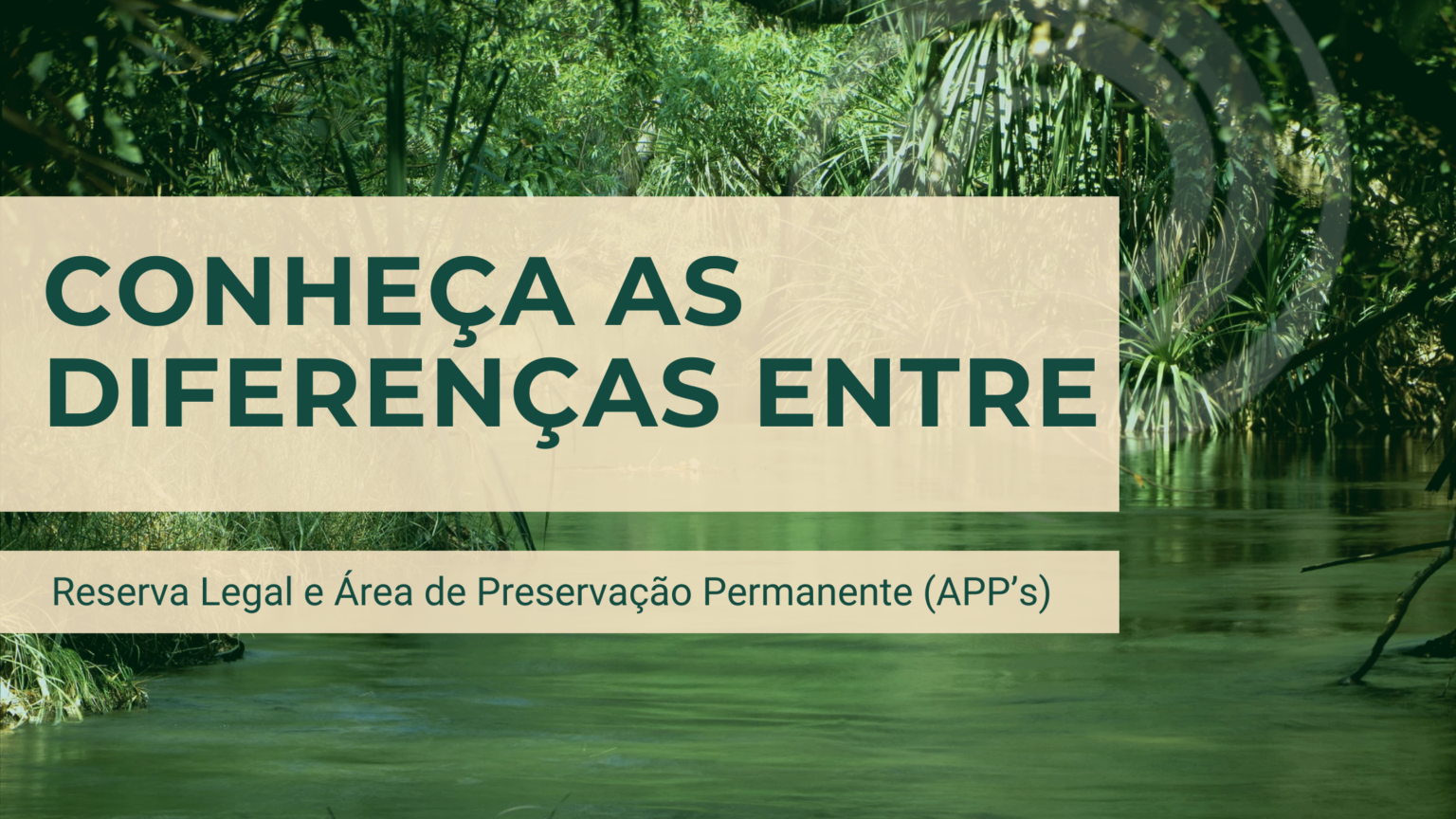 Conheça as diferenças entre Áreas de Preservação Permanente (APP) e ...