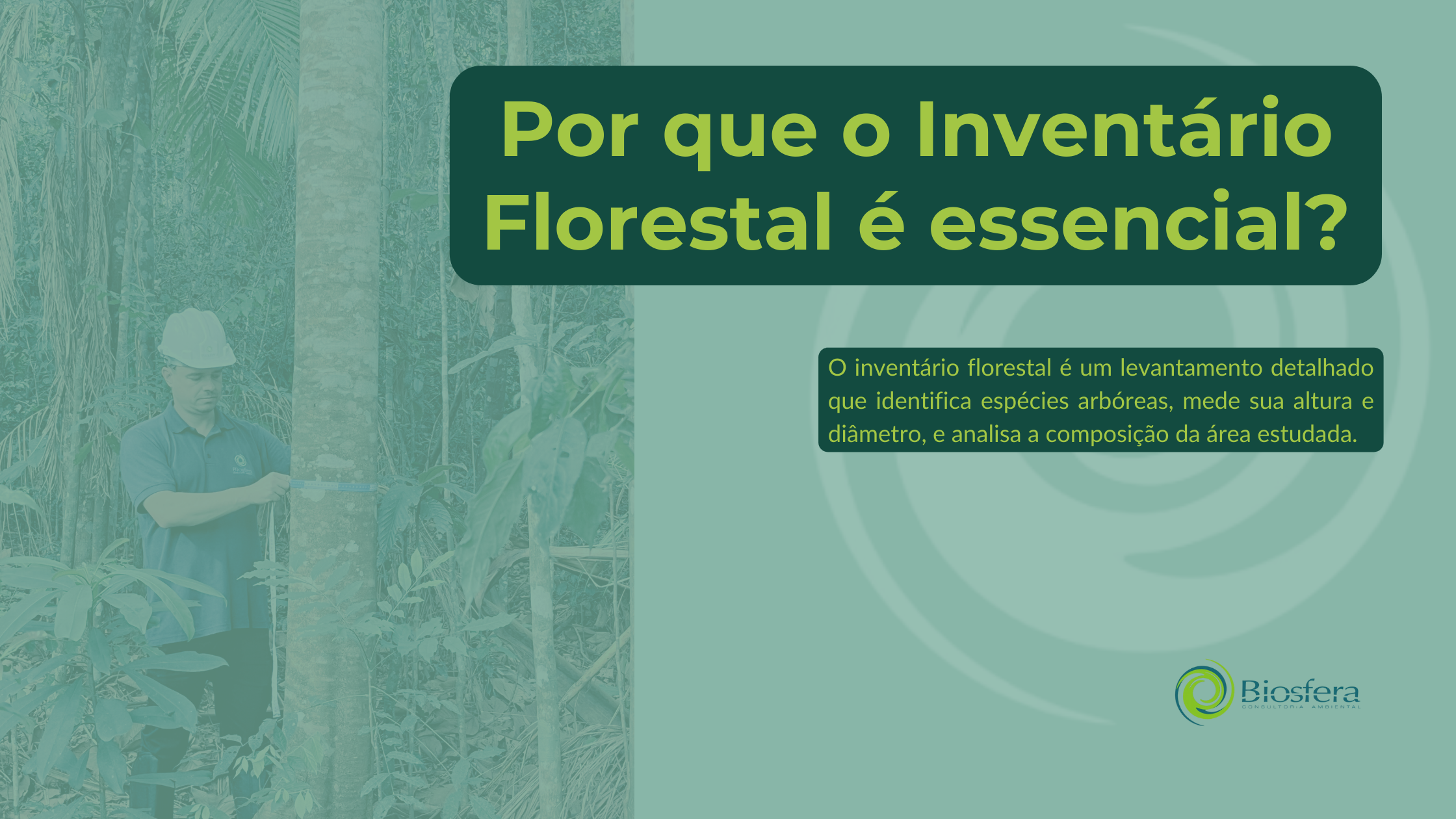 Saiba por que o Inventário Florestal é essencial em um novo empreendimento