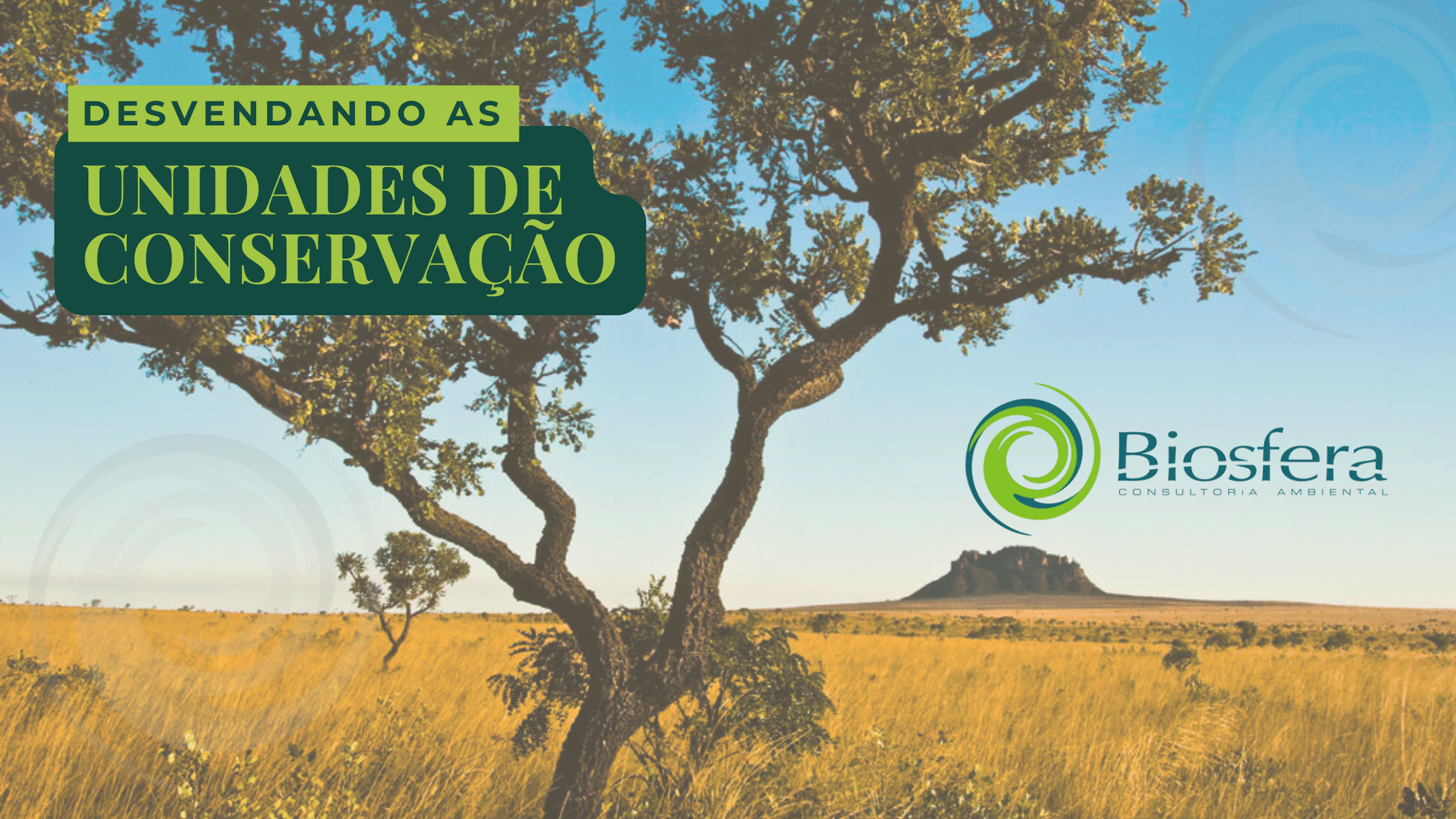 Desvendando as Unidades de Conservação