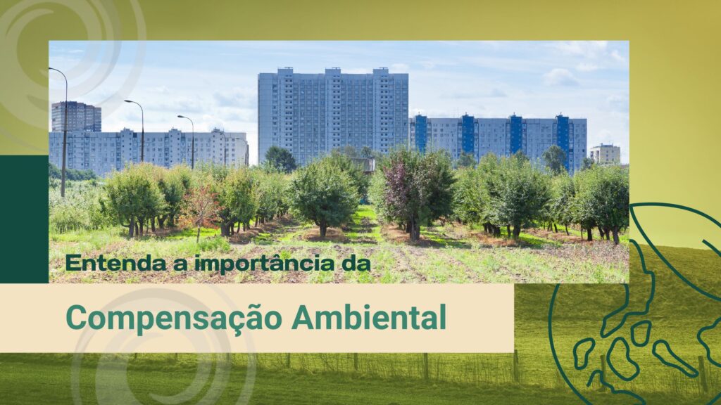 Imagem mostra uma plantação de árvores demonstrando uma compensação ambiental próximo a uma área de condomínios.