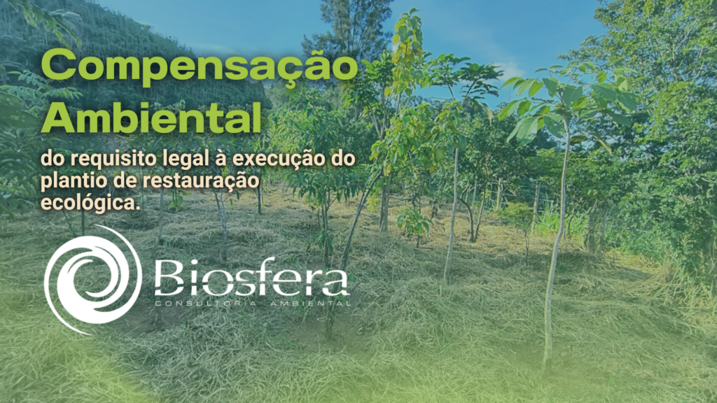 imagem de uma plantação de árvores com o título de compensação ambiental