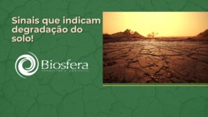imagem de um solo degradado identificando o título sinais que indicam degradação do solo
