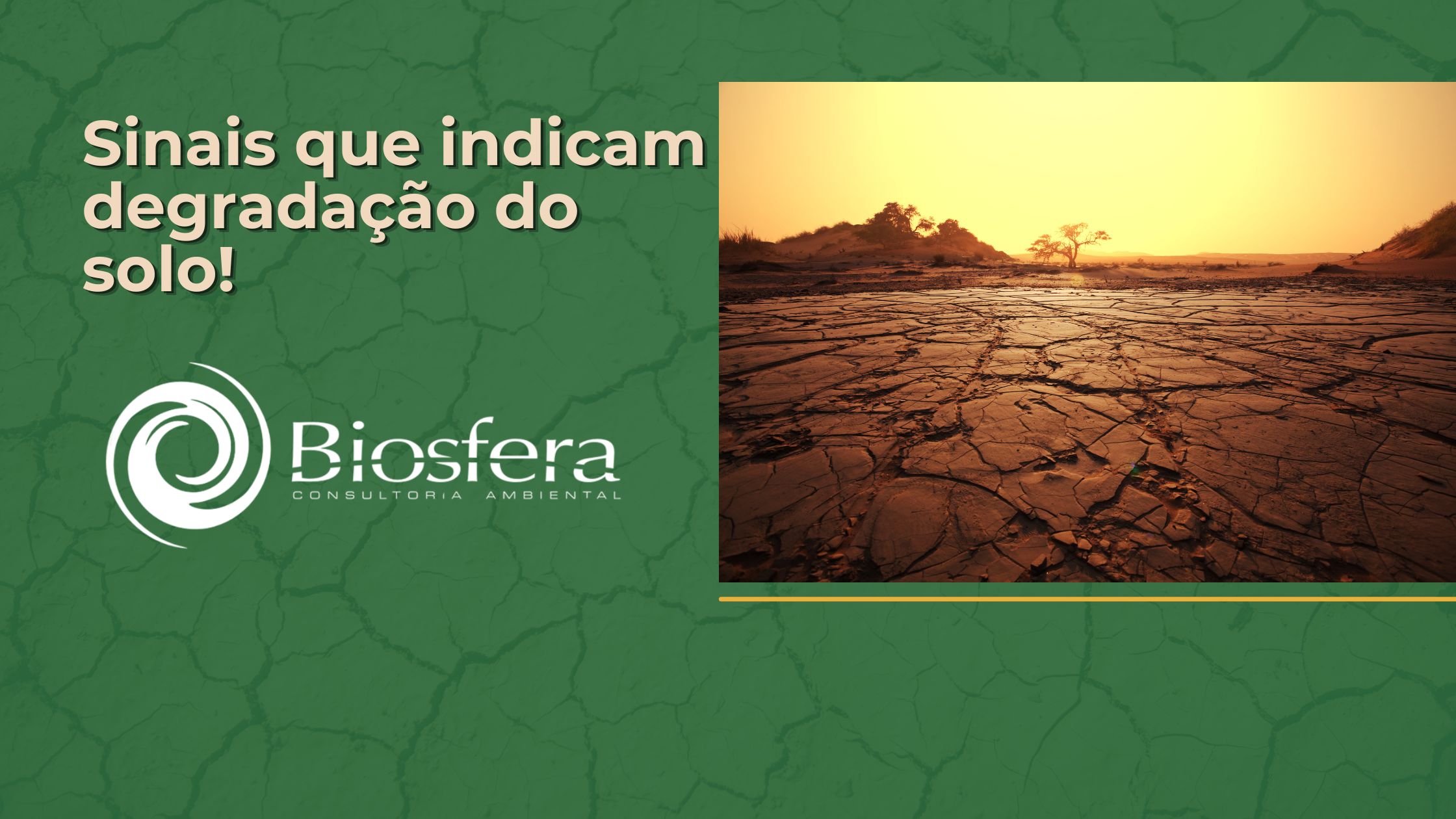 Sinais de que o solo está degradado: como identificar e reverter o problema