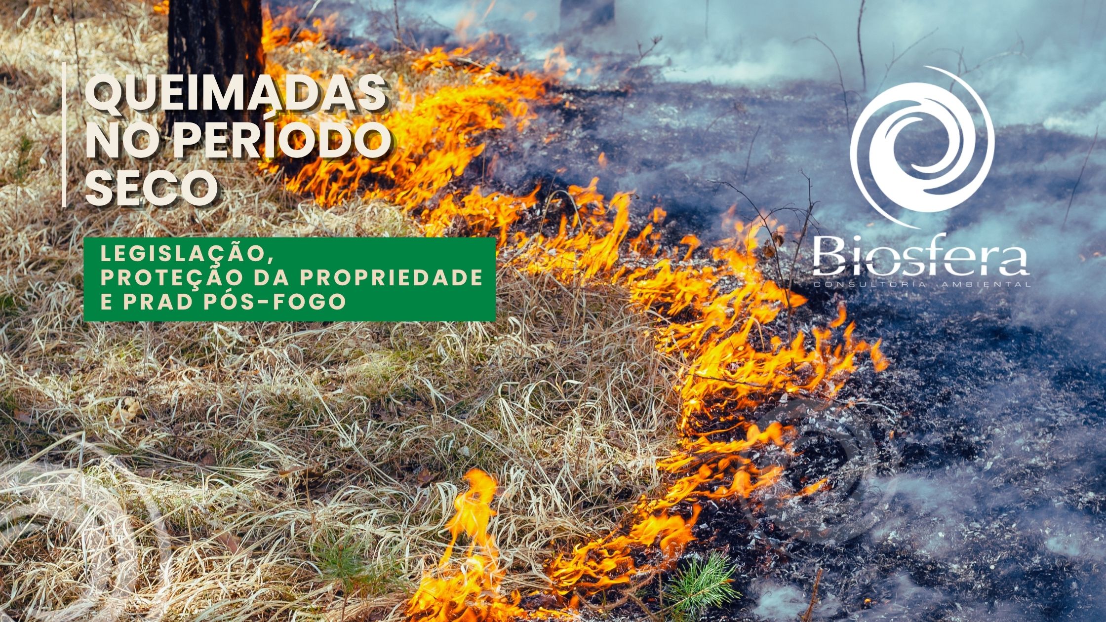 Queimadas e período seco: como proteger sua propriedade, entender a legislação e recuperar áreas após o fogo