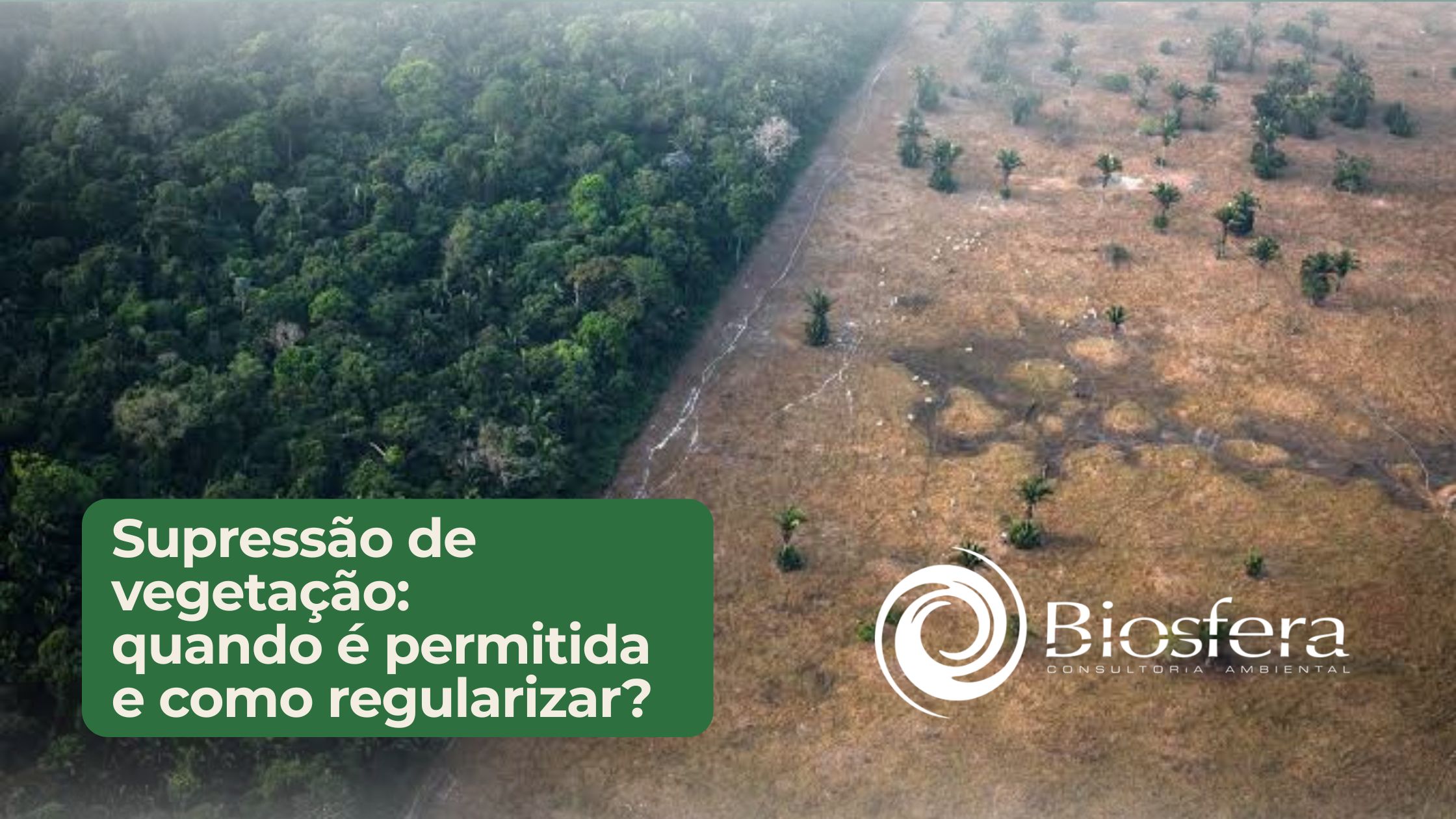 Supressão de vegetação: quando é permitida e como regularizar