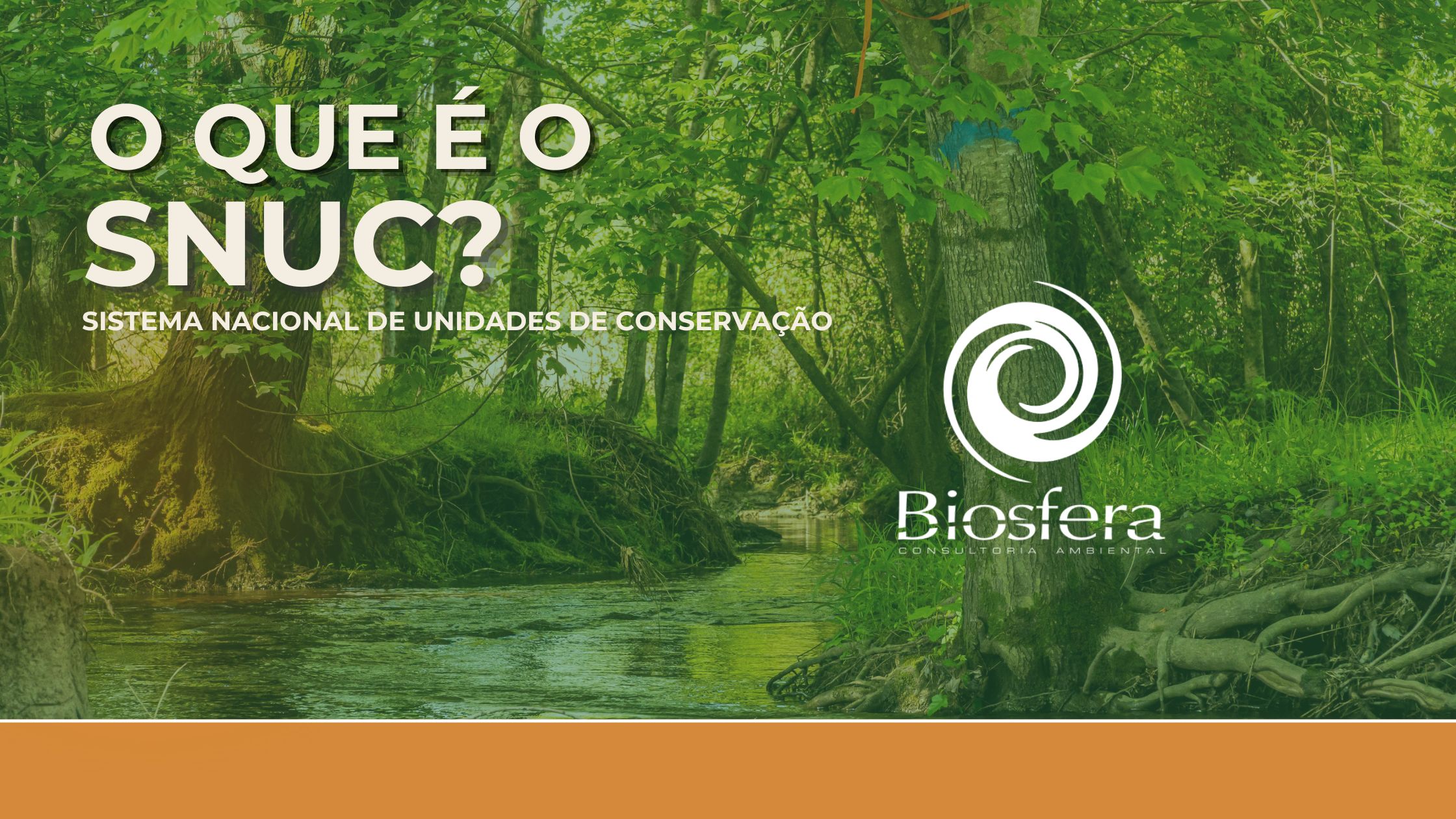 O que é o SNUC? Guia completo sobre o Sistema Nacional de Unidades de Conservação