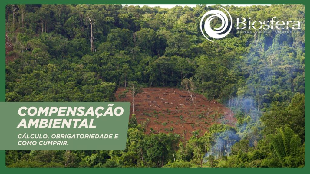 a iamgem mostra um clarão em uma mata com mudas de árvores e o título compensação ambiental