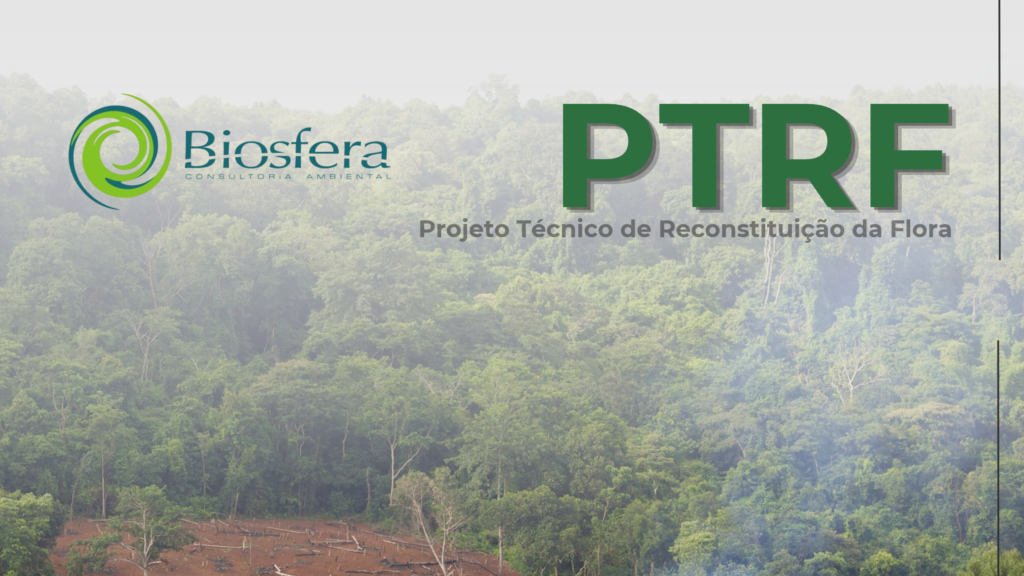 imagem de uma mata com uma clareira com o título de PTRF e a logo da Biosfera